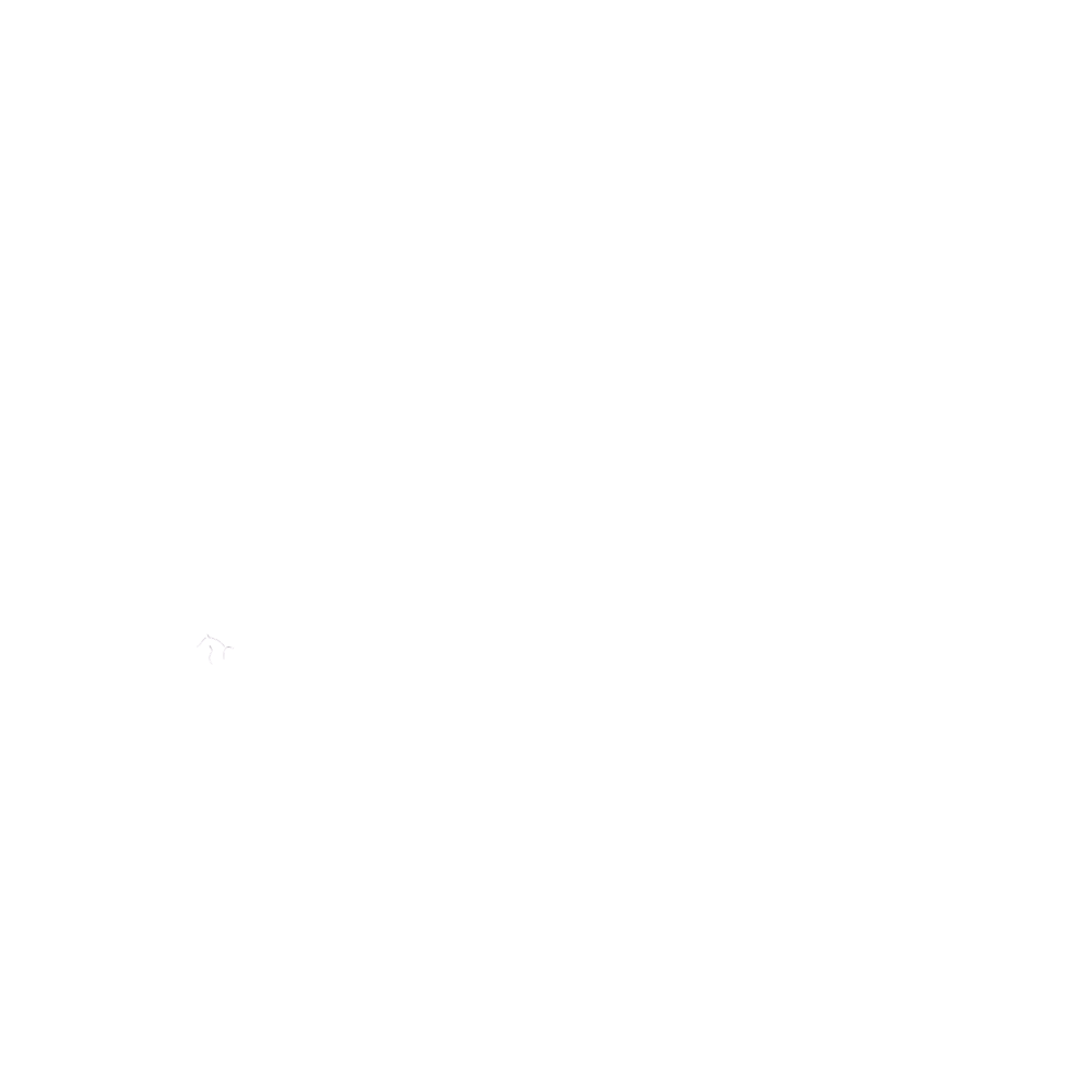 Like Horses TV